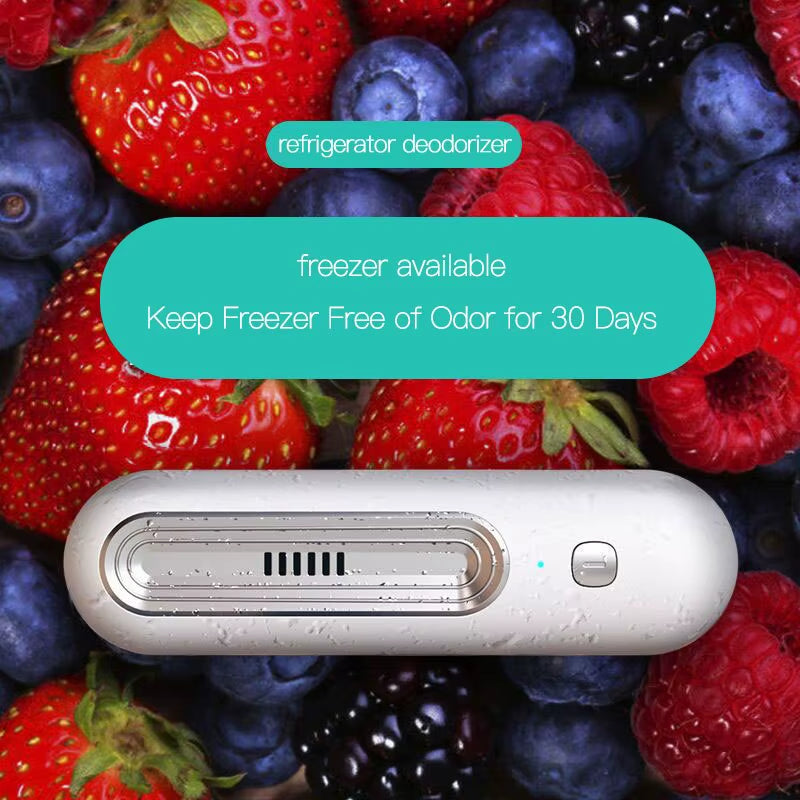 Refrigerator Deodorizer Air Purifier